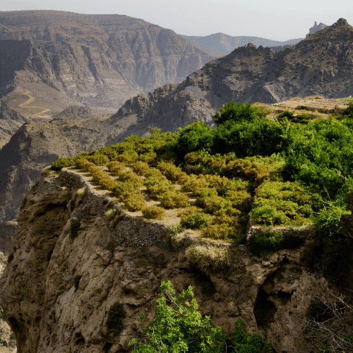 Djibouti gallery 3