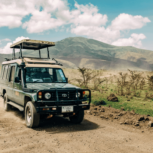 Tanzania gallery 2