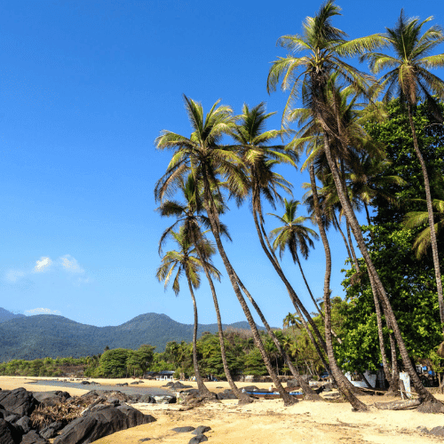 Sierra Leone gallery 4