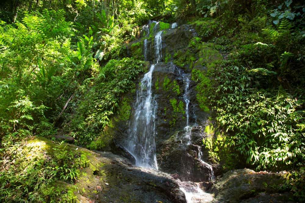 Suriname gallery 2