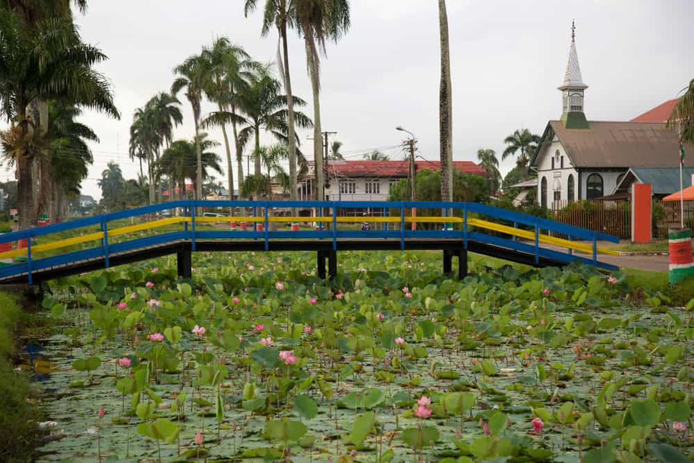 Suriname gallery 4