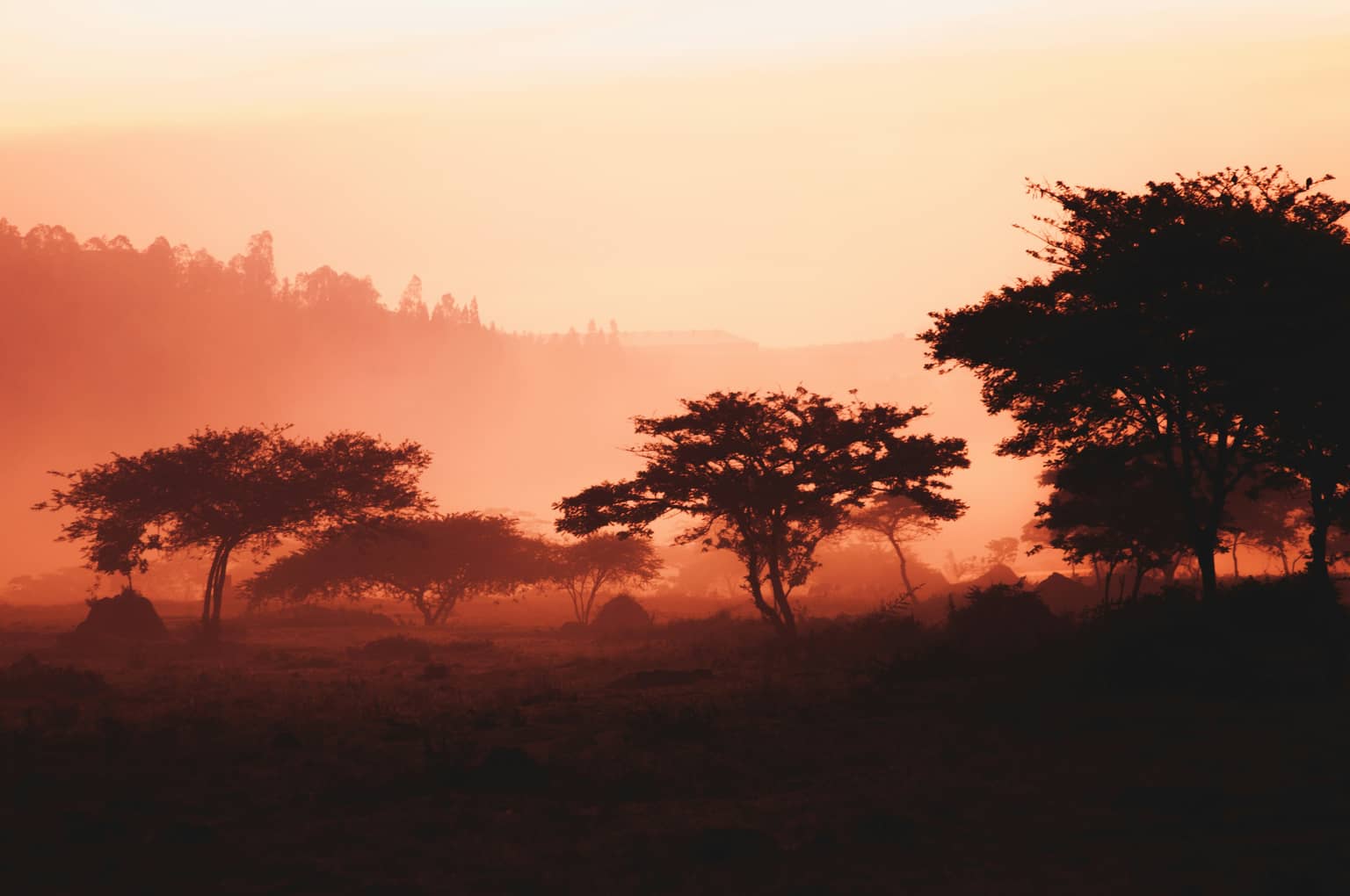 Rwanda gallery 4