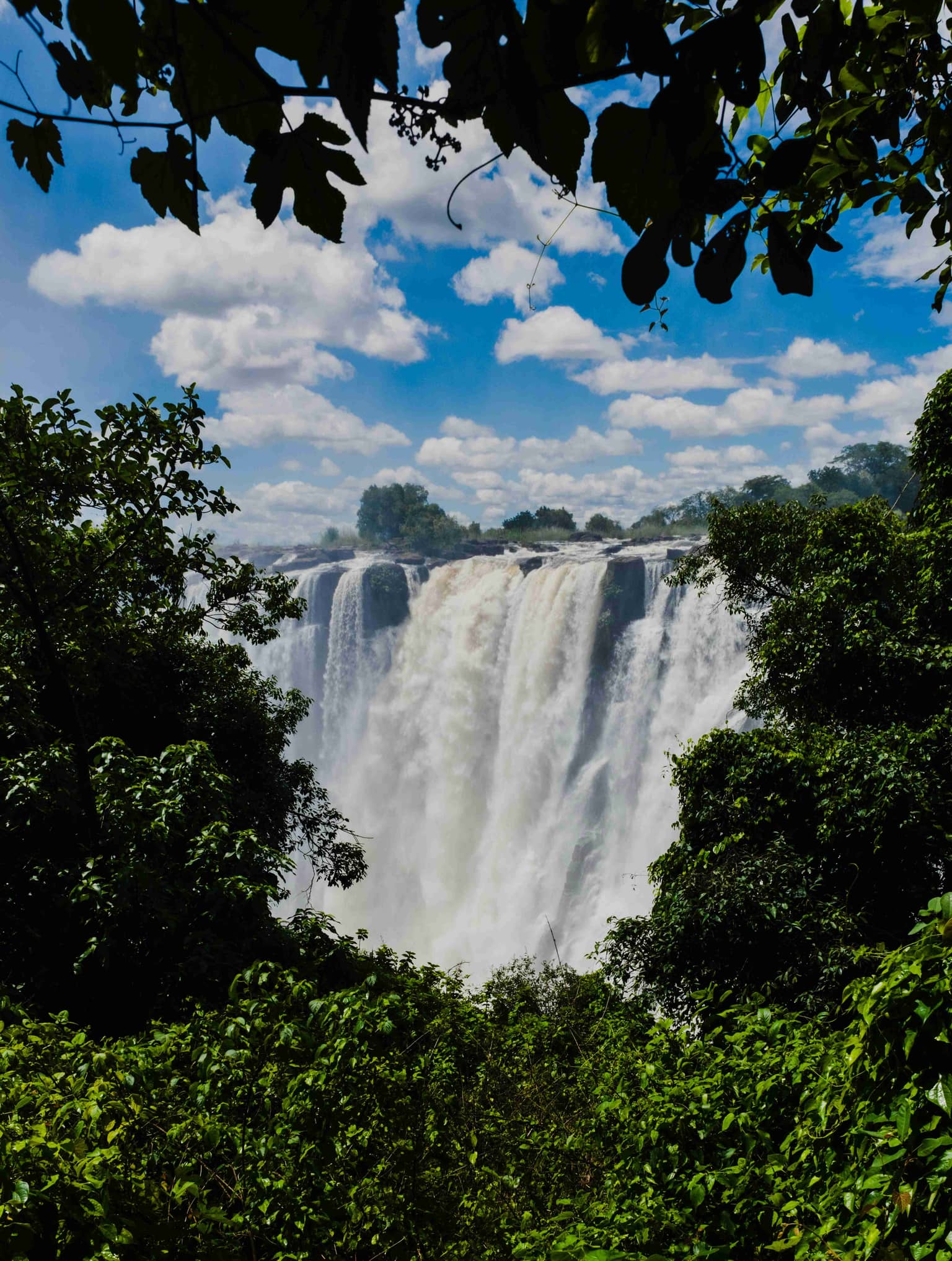 Zambia gallery 3