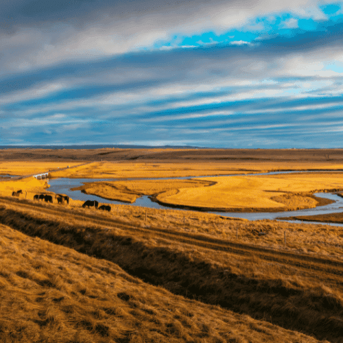 Botswana gallery 2