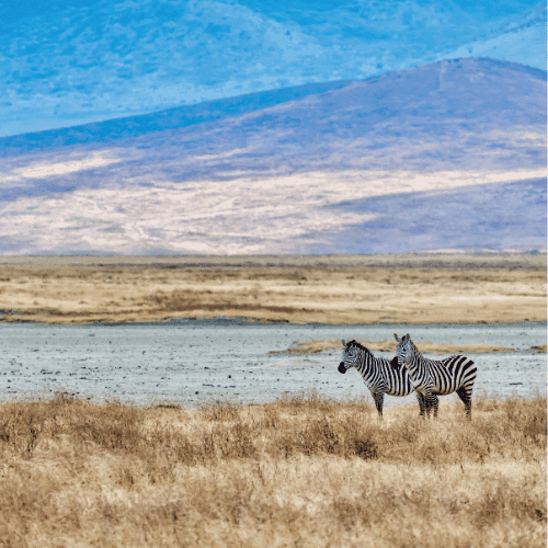 Botswana gallery 4