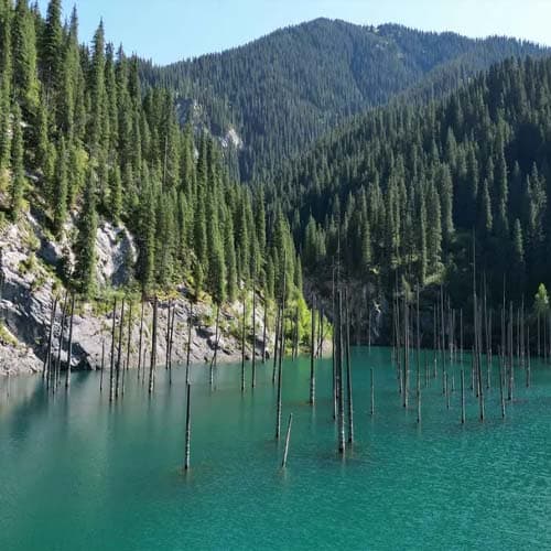 undefined destination