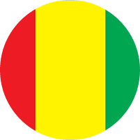 Guinea flag