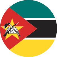 Mozambique flag