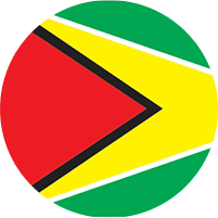 Guyana flag