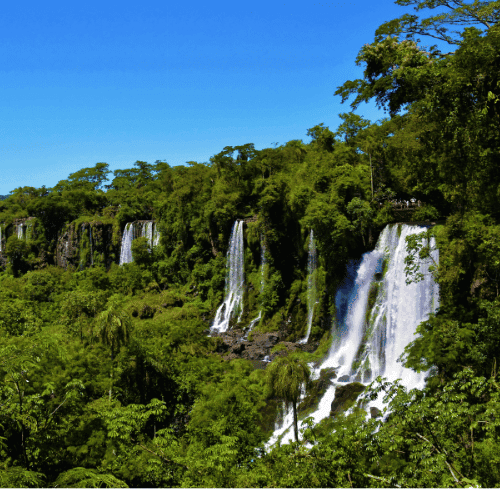 Madagascar gallery 4