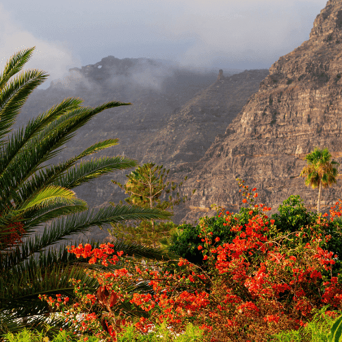 Oman gallery 2