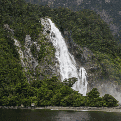 New Zealand gallery 3