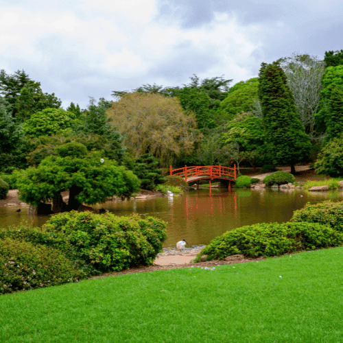 New Zealand gallery 4