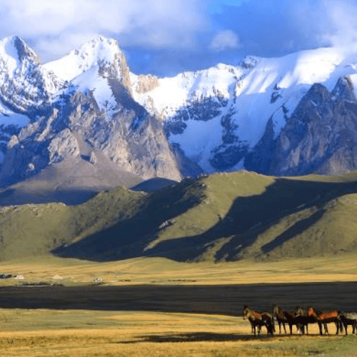 Kyrgyzstan gallery 4