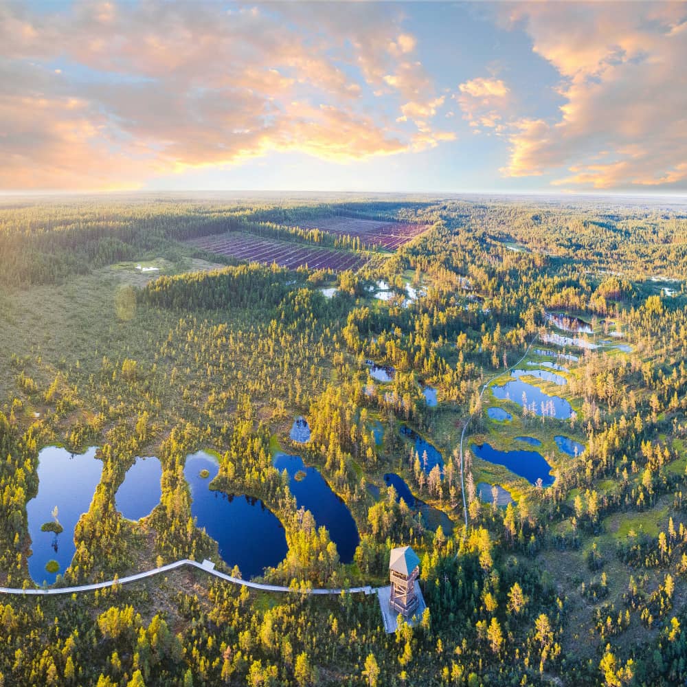Estonia gallery 4