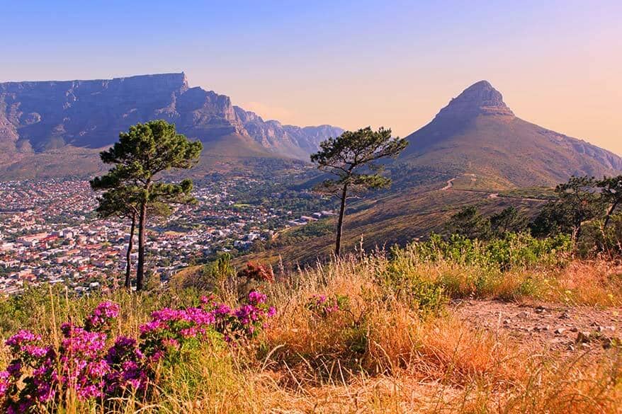 South Africa gallery 3