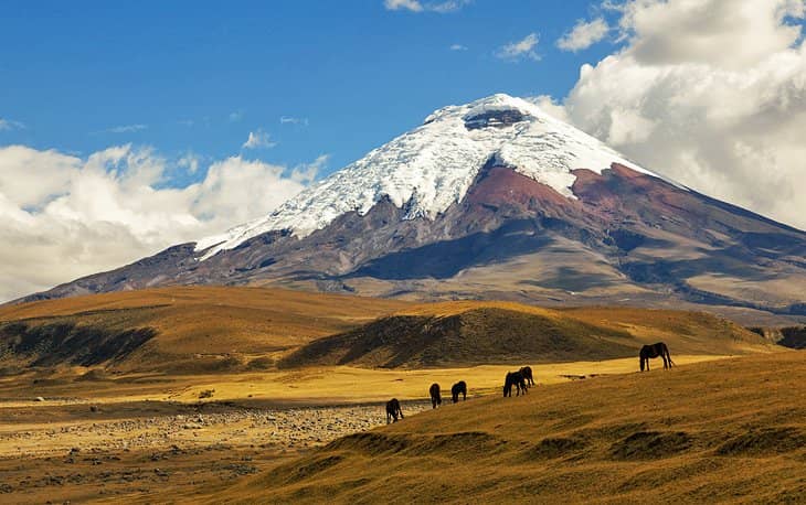 Ecuador gallery 2