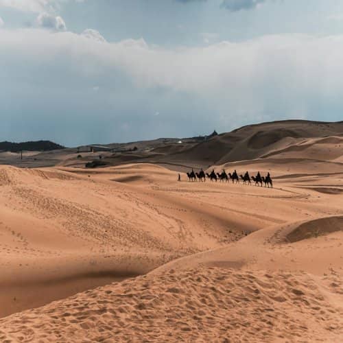Mongolia gallery 4