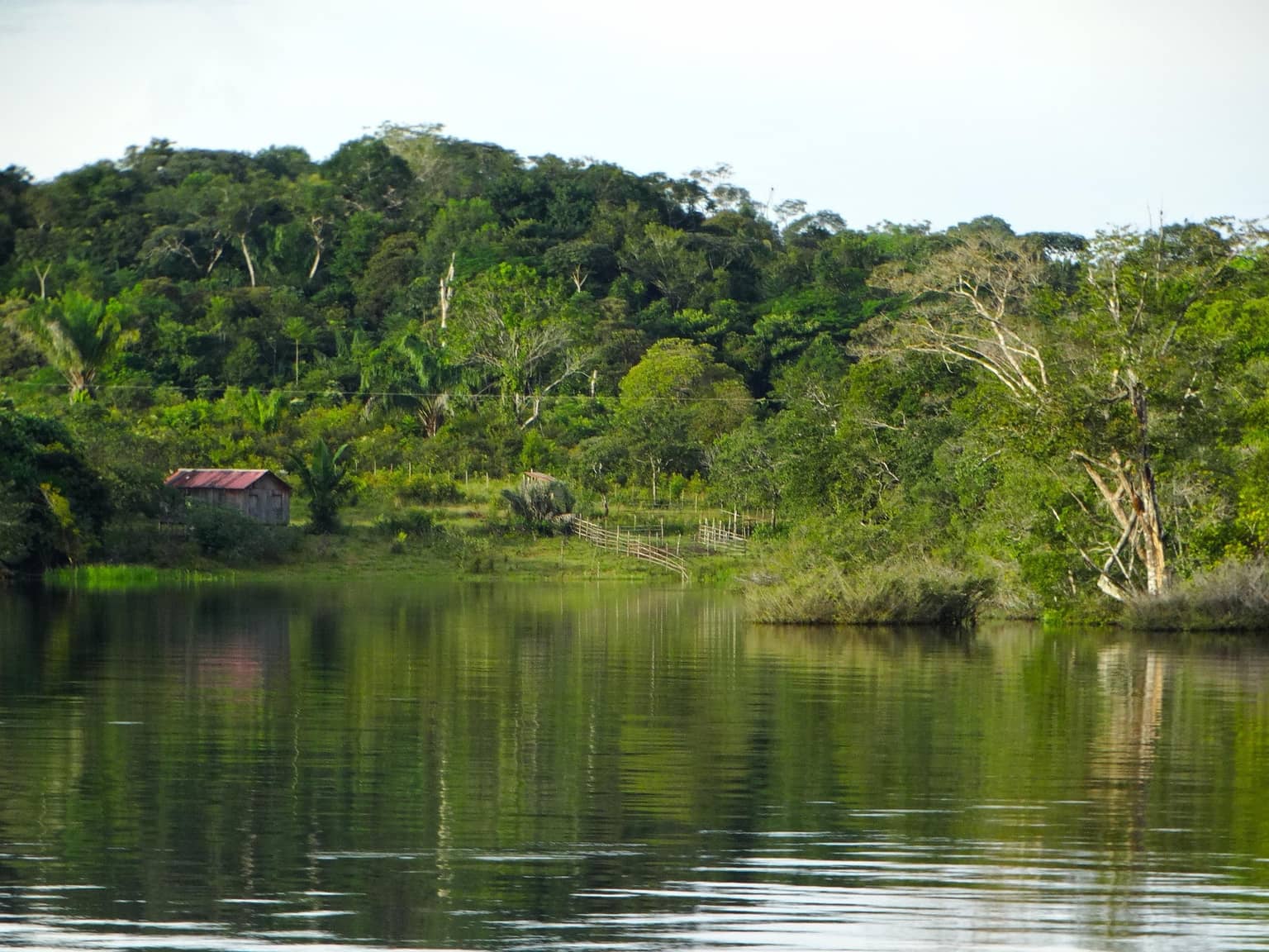 Brazil gallery 3