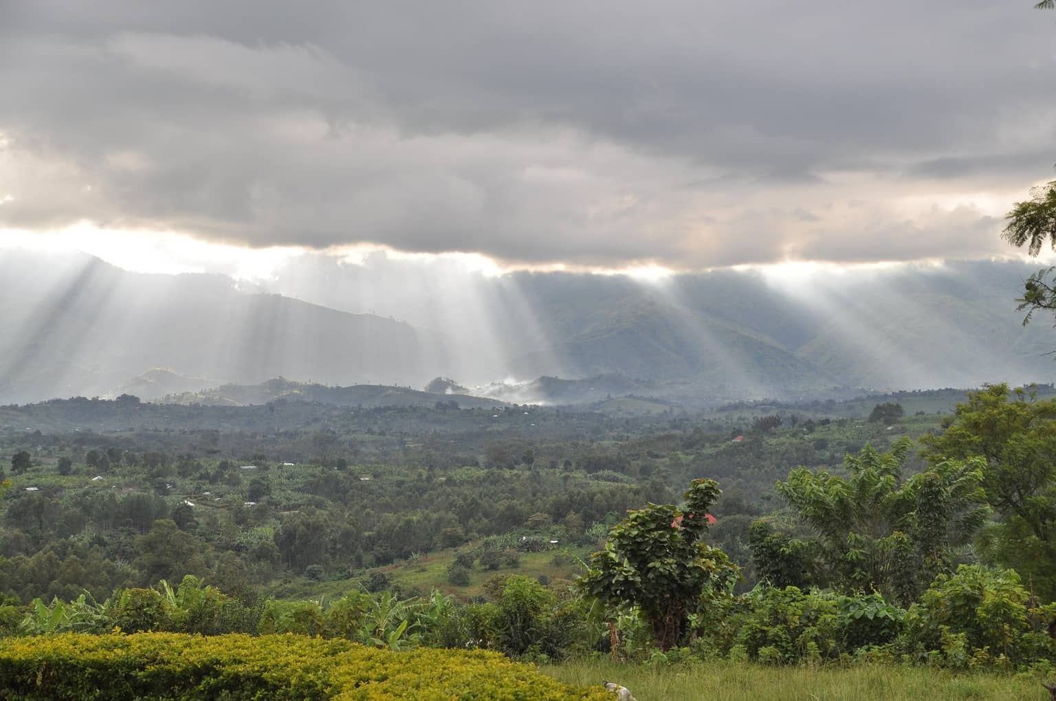 Congo gallery 4